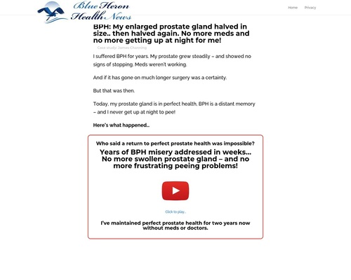 The Prostate Protocol – BPH – Blue Heron Well being Information The Prostate Protocol – BPH – Blue Heron Well being Information