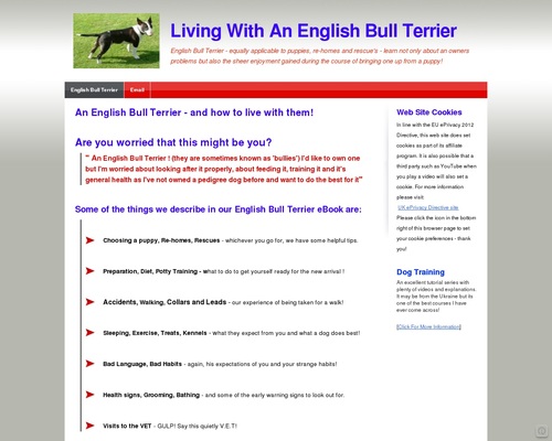 Studying To Dwell With An English Bull Terrier from Pet To Grownup Studying To Dwell With An English Bull Terrier from Pet To Grownup