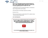 The Prostate Protocol – BPH – Blue Heron Well being Information